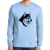 Ultra Cotton ® 100% US Cotton Long Sleeve T Shirt Thumbnail