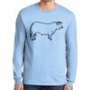 Ultra Cotton ® 100% US Cotton Long Sleeve T Shirt Thumbnail