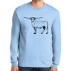 Ultra Cotton ® 100% US Cotton Long Sleeve T Shirt Thumbnail