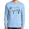 Ultra Cotton ® 100% US Cotton Long Sleeve T Shirt Thumbnail