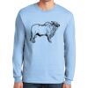 Ultra Cotton ® 100% US Cotton Long Sleeve T Shirt Thumbnail