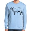 Ultra Cotton ® 100% US Cotton Long Sleeve T Shirt Thumbnail