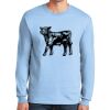 Ultra Cotton ® 100% US Cotton Long Sleeve T Shirt Thumbnail