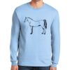 Ultra Cotton ® 100% US Cotton Long Sleeve T Shirt Thumbnail