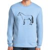 Ultra Cotton ® 100% US Cotton Long Sleeve T Shirt Thumbnail