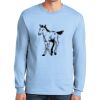 Ultra Cotton ® 100% US Cotton Long Sleeve T Shirt Thumbnail