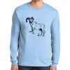 Ultra Cotton ® 100% US Cotton Long Sleeve T Shirt Thumbnail