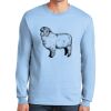 Ultra Cotton ® 100% US Cotton Long Sleeve T Shirt Thumbnail