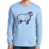 Ultra Cotton ® 100% US Cotton Long Sleeve T Shirt Thumbnail