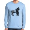 Ultra Cotton ® 100% US Cotton Long Sleeve T Shirt Thumbnail