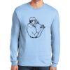 Ultra Cotton ® 100% US Cotton Long Sleeve T Shirt Thumbnail