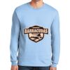 Ultra Cotton ® 100% US Cotton Long Sleeve T Shirt Thumbnail